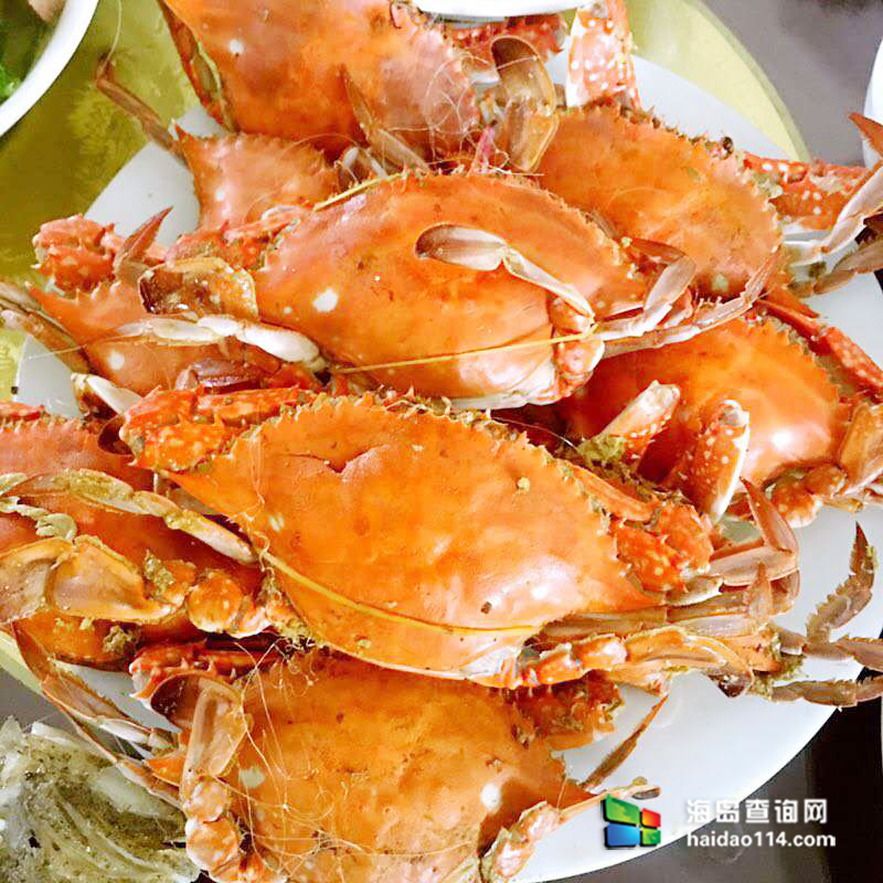 大长山岛鑫德宝渔家客栈