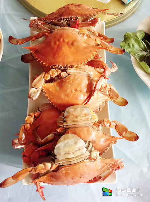 大长山岛鑫德宝渔家客栈