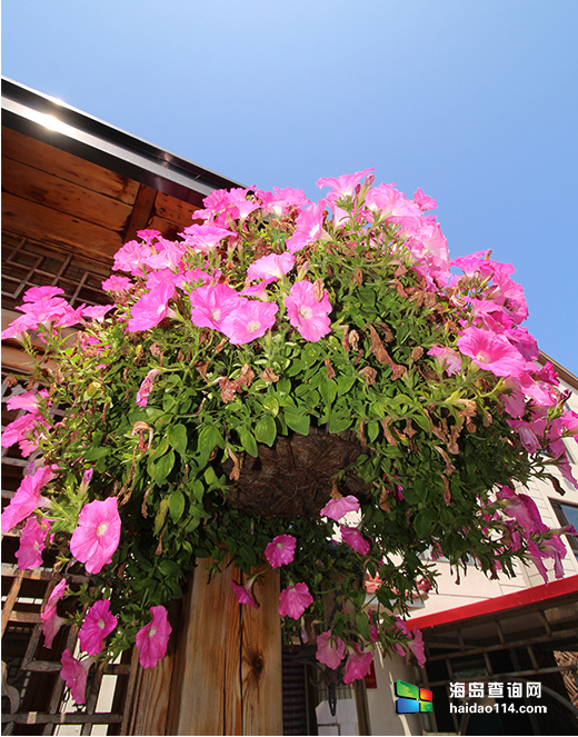 大长山岛鑫德宝渔家客栈