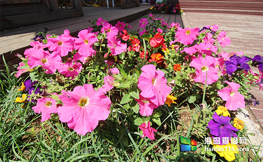 大长山岛鑫德宝渔家客栈