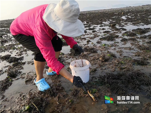 大长山岛银龙度假山庄