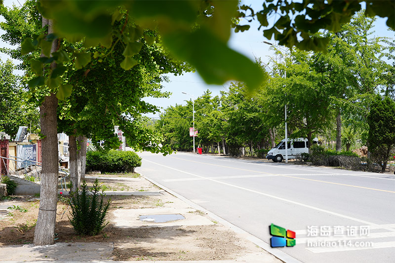 大长山岛悦来渔家客栈