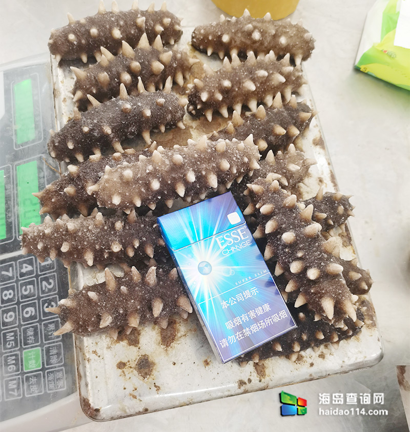 大长山岛悦来渔家客栈