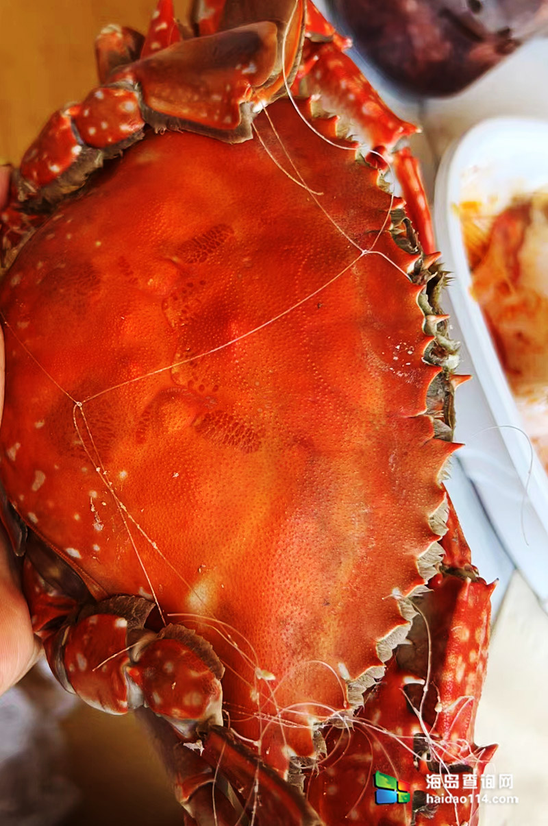 大长山岛悦来渔家客栈