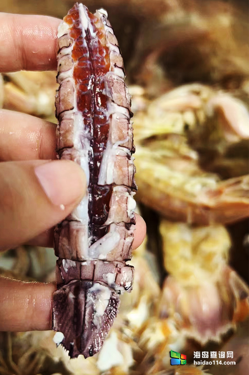 大长山岛悦来渔家客栈