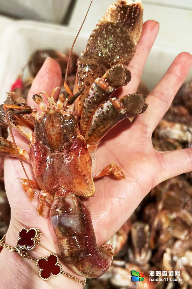 大长山岛悦来渔家客栈