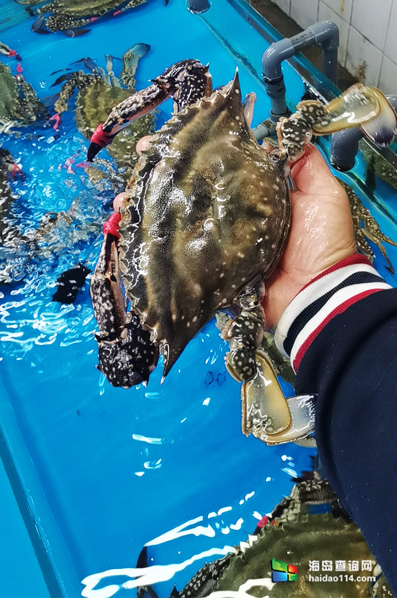 大长山岛悦来渔家客栈