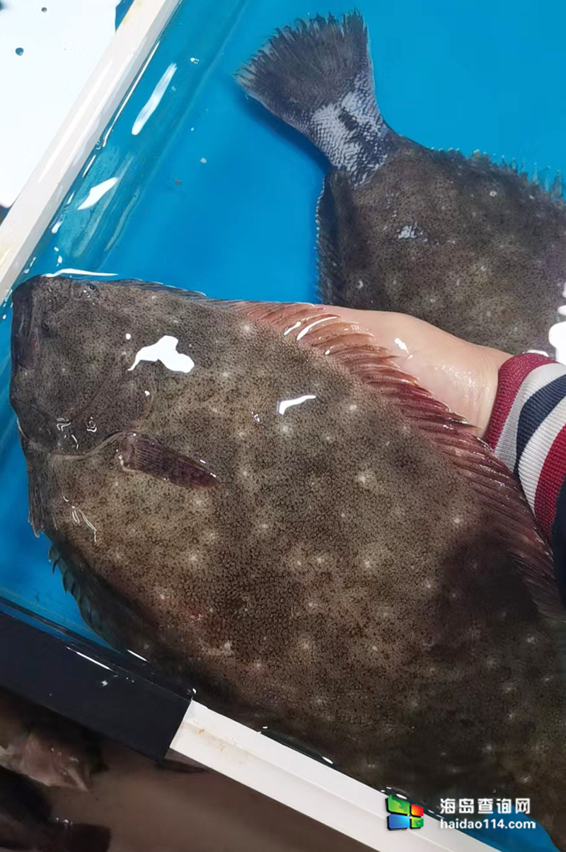 大长山岛悦来渔家客栈