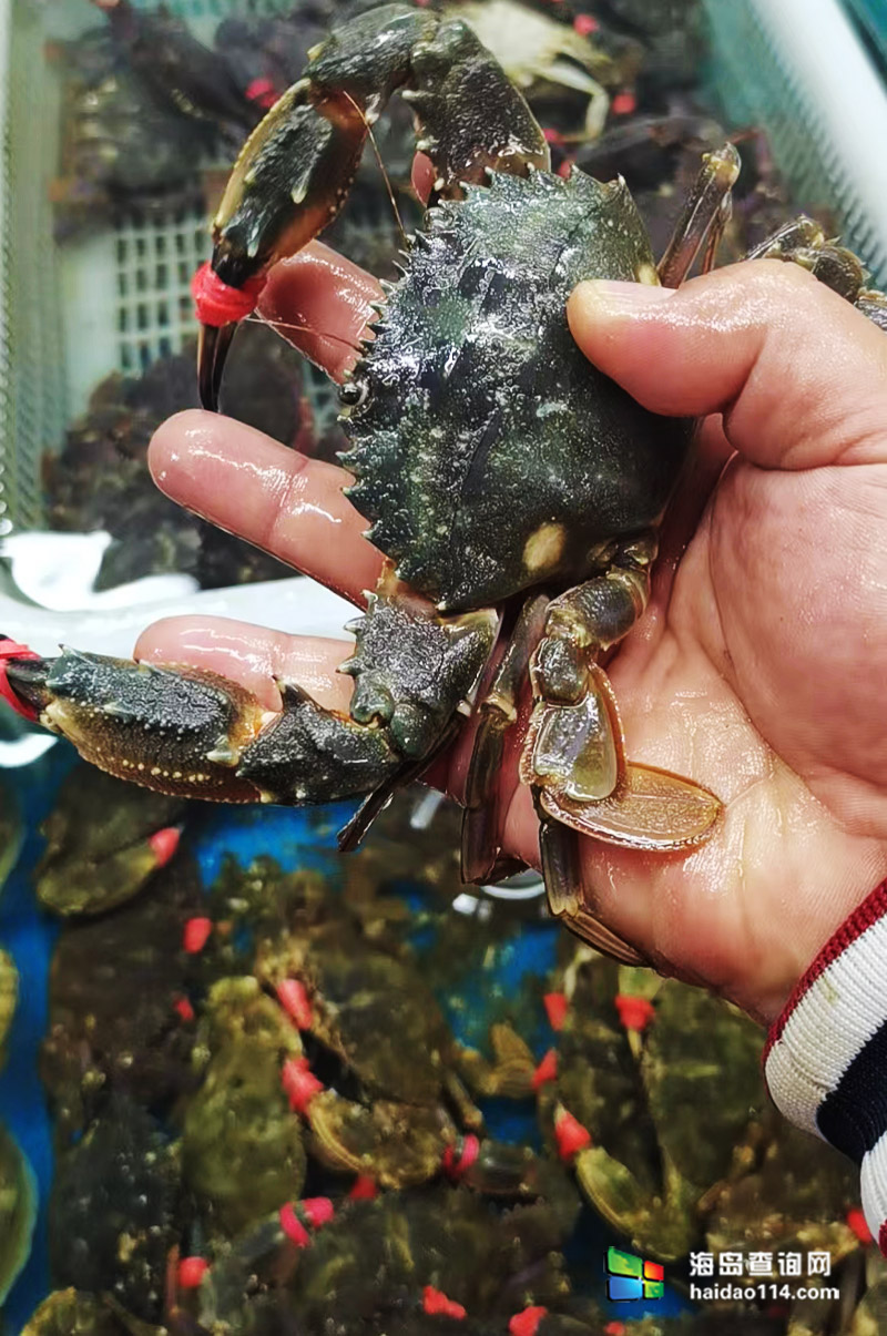 大长山岛悦来渔家客栈