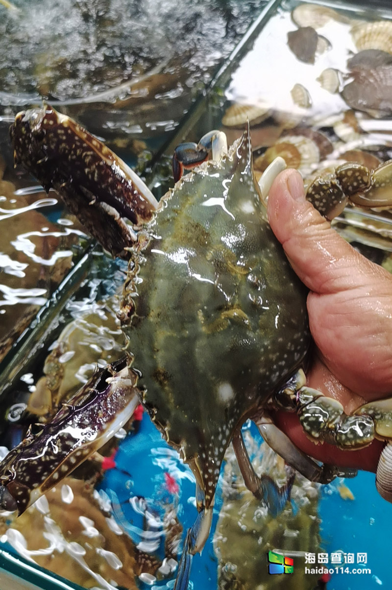 大长山岛悦来渔家客栈