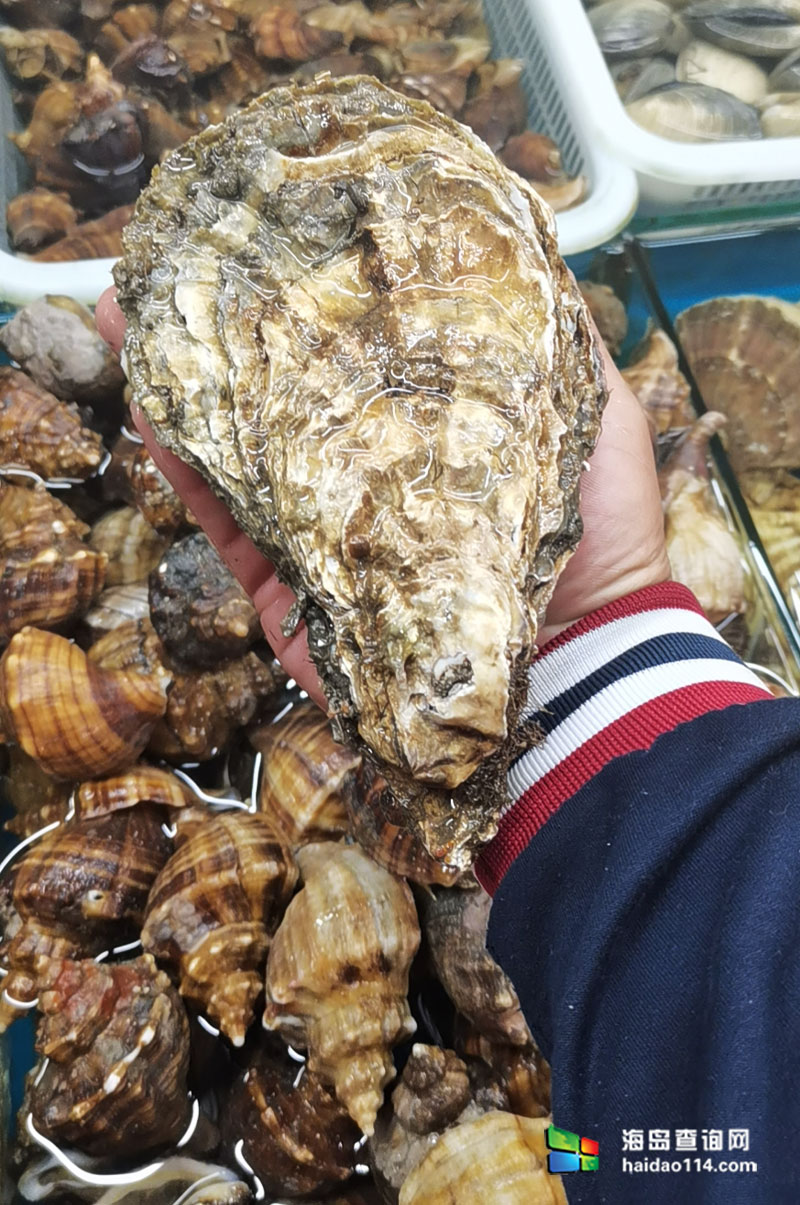 大长山岛悦来渔家客栈