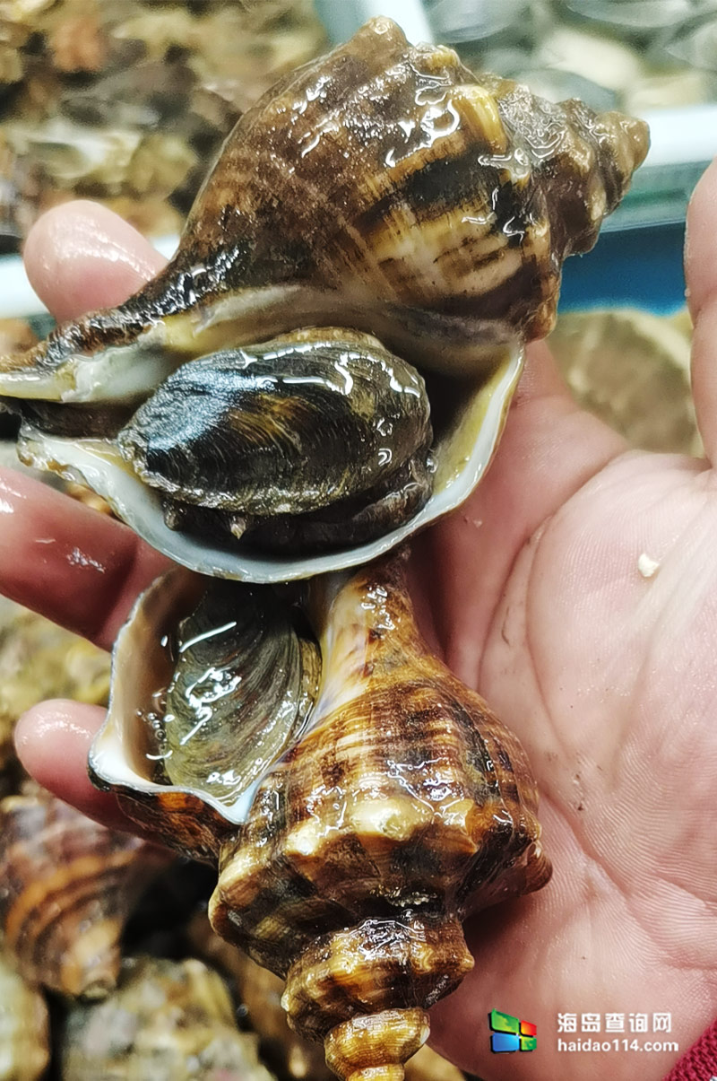 大长山岛悦来渔家客栈