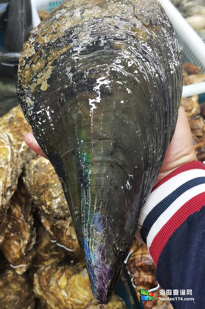 大长山岛悦来渔家客栈