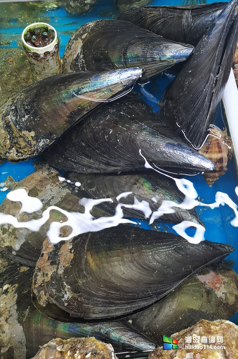 大长山岛悦来渔家客栈