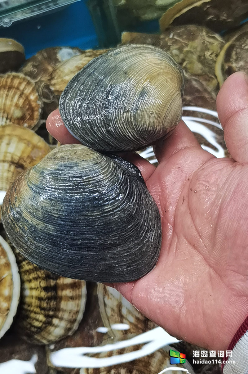 大长山岛悦来渔家客栈