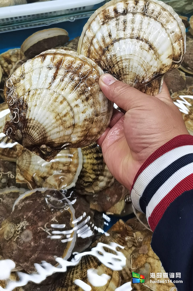 大长山岛悦来渔家客栈