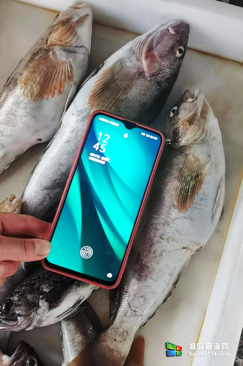 大长山岛悦来渔家客栈