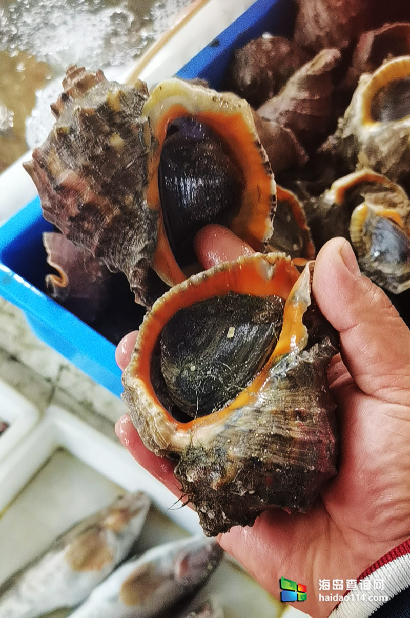 大长山岛悦来渔家客栈