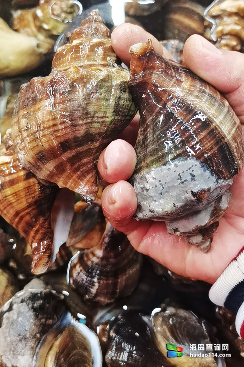 大长山岛悦来渔家客栈