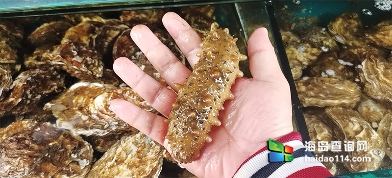 大长山岛悦来渔家客栈