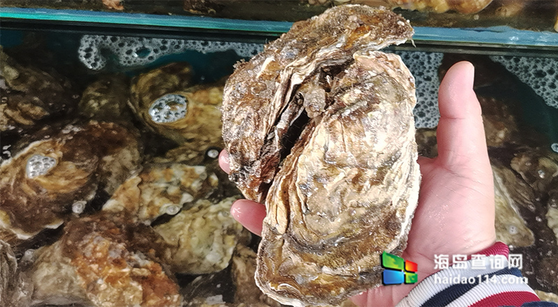 大长山岛悦来渔家客栈