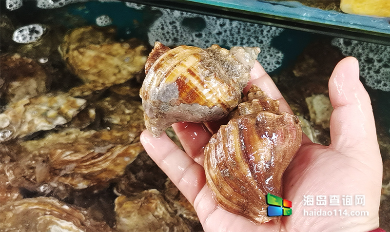 大长山岛悦来渔家客栈