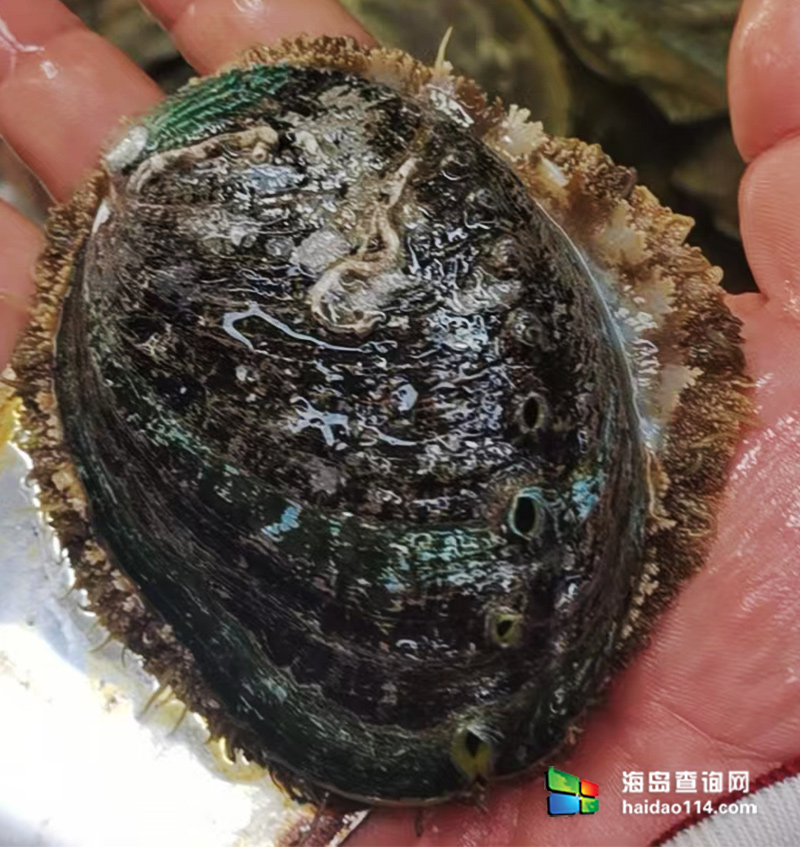 大长山岛悦来渔家客栈