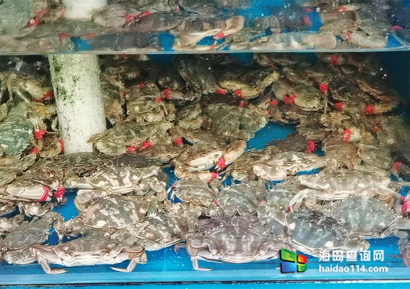 大长山岛悦来渔家客栈