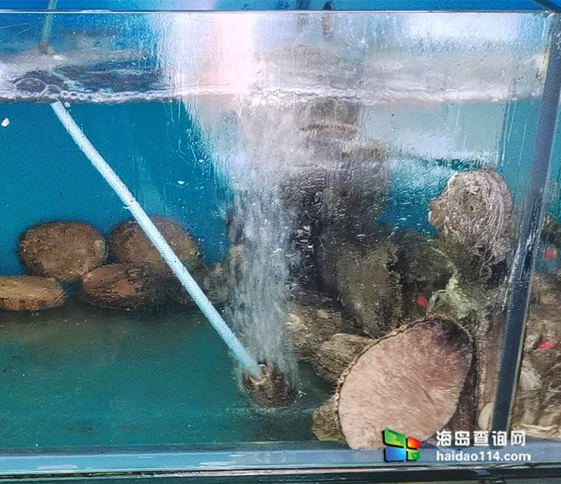 大长山岛悦来渔家客栈