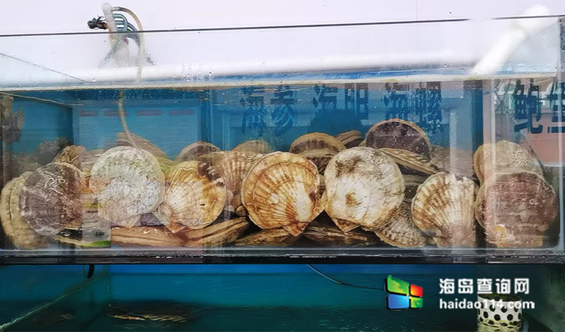 大长山岛悦来渔家客栈