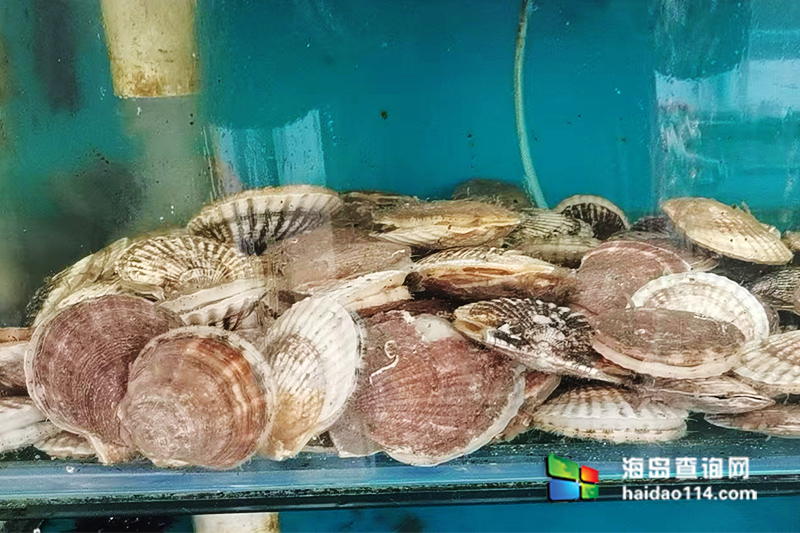 大长山岛悦来渔家客栈