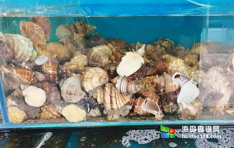 大长山岛悦来渔家客栈