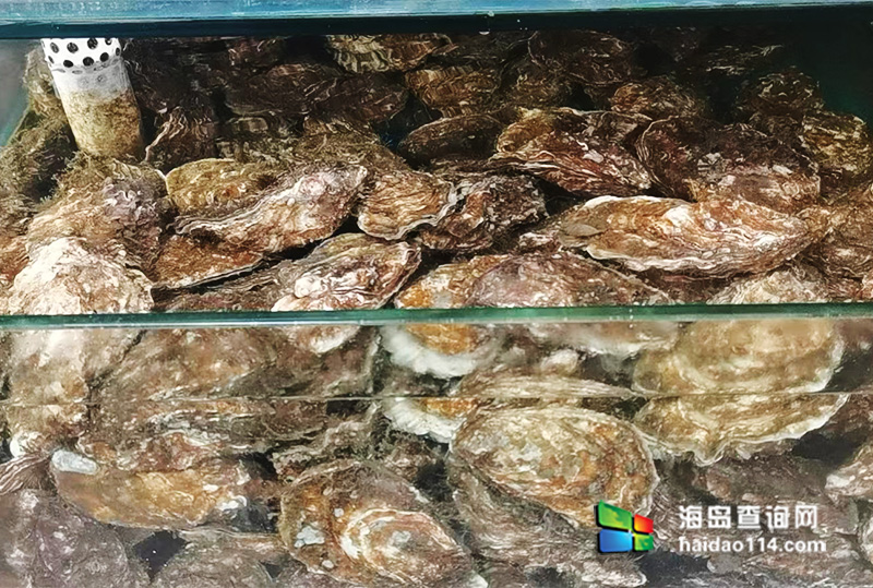 大长山岛悦来渔家客栈