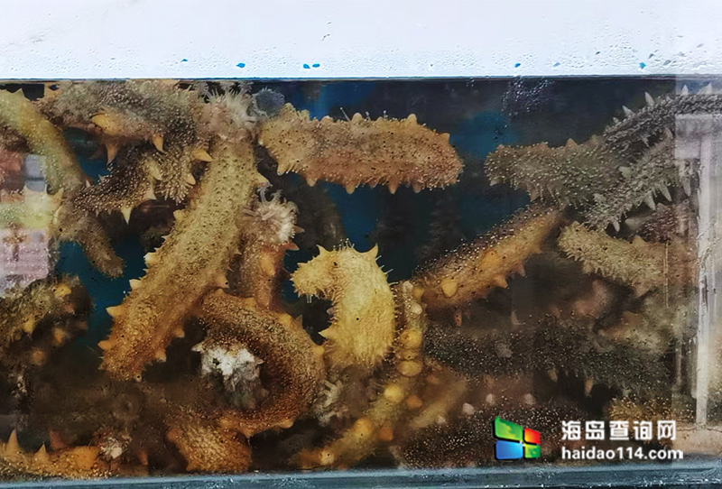 大长山岛悦来渔家客栈