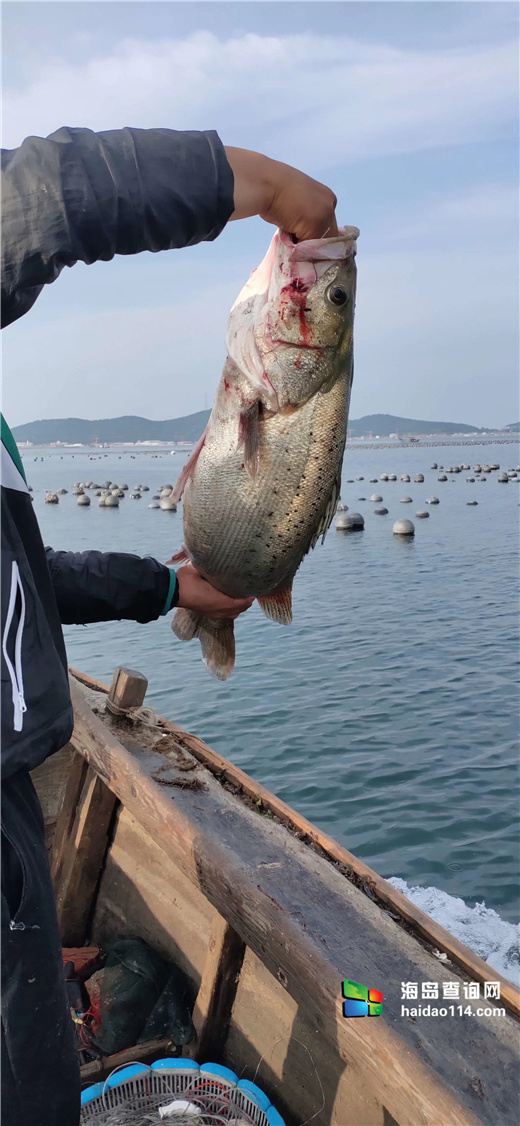 塞里岛塞里阳光海岸度假酒店