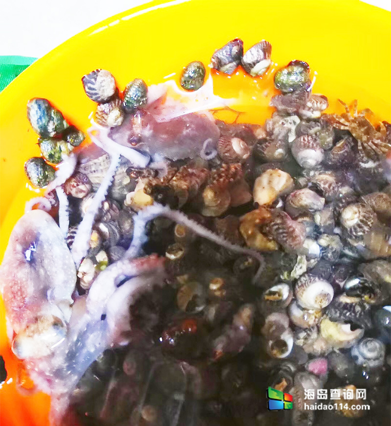 海王九岛星海度假村