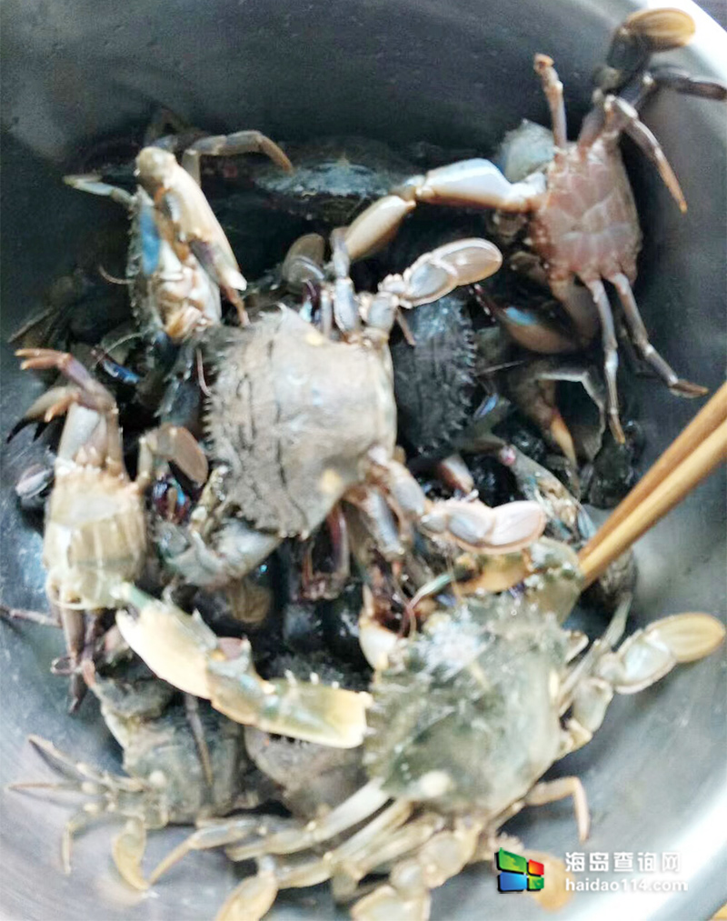 海王九岛星海度假村