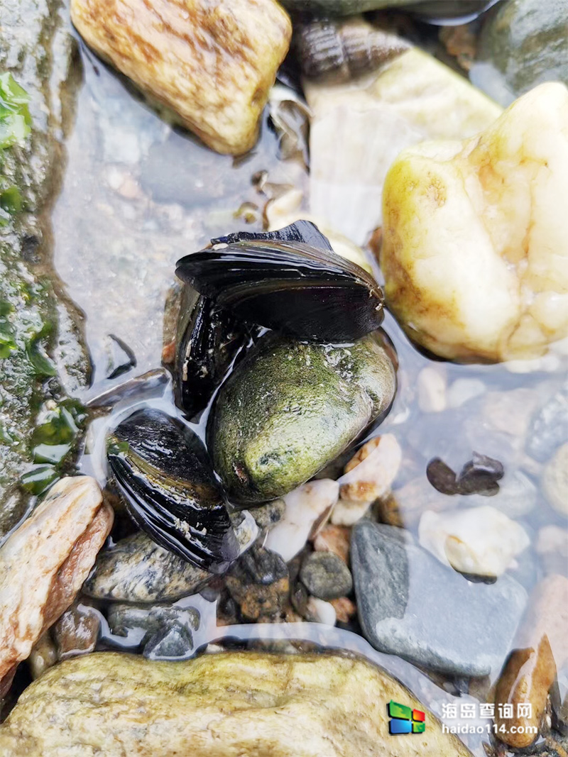 海王九岛星海度假村