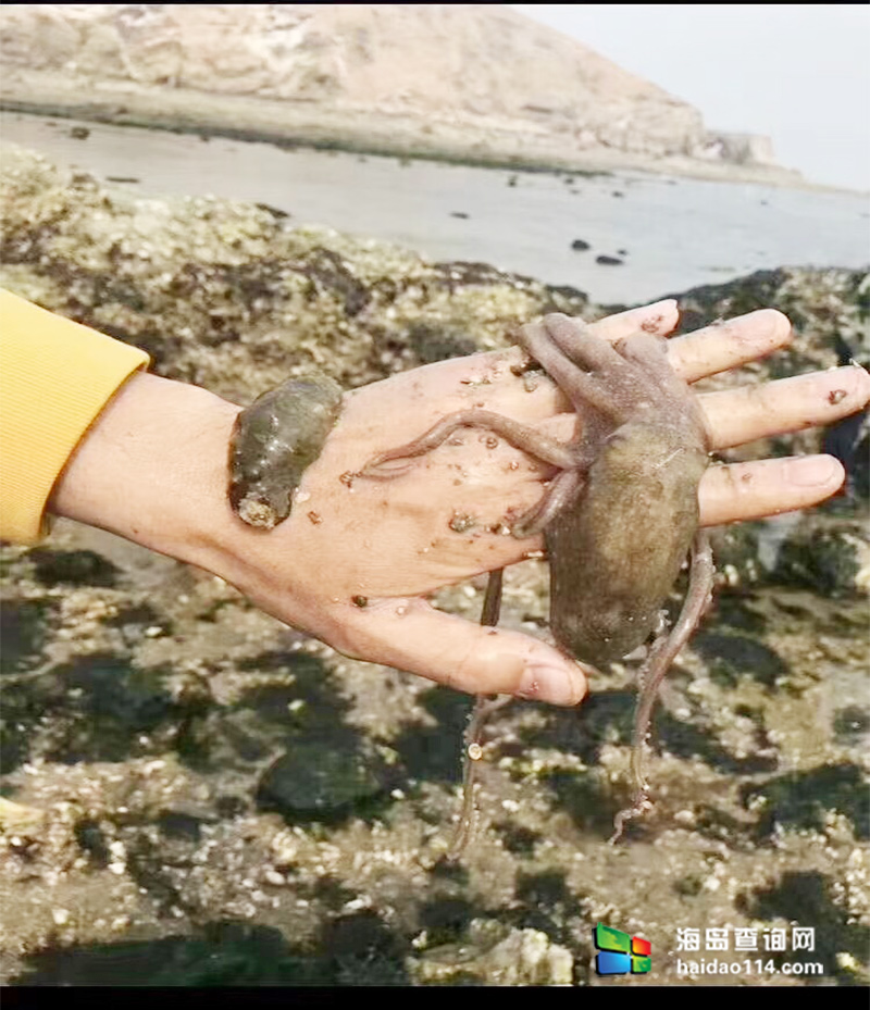 海王九岛星海度假村