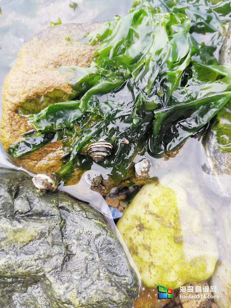 海王九岛星海度假村