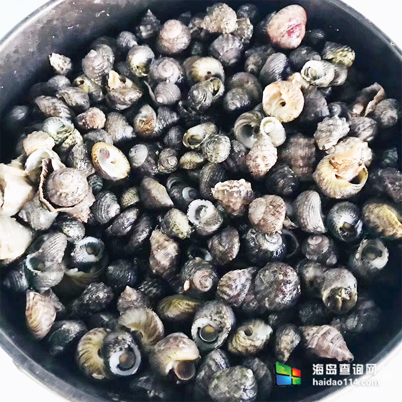 海王九岛星海度假村