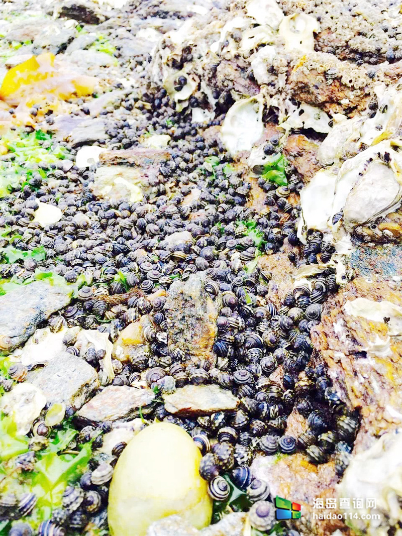 海王九岛星海度假村