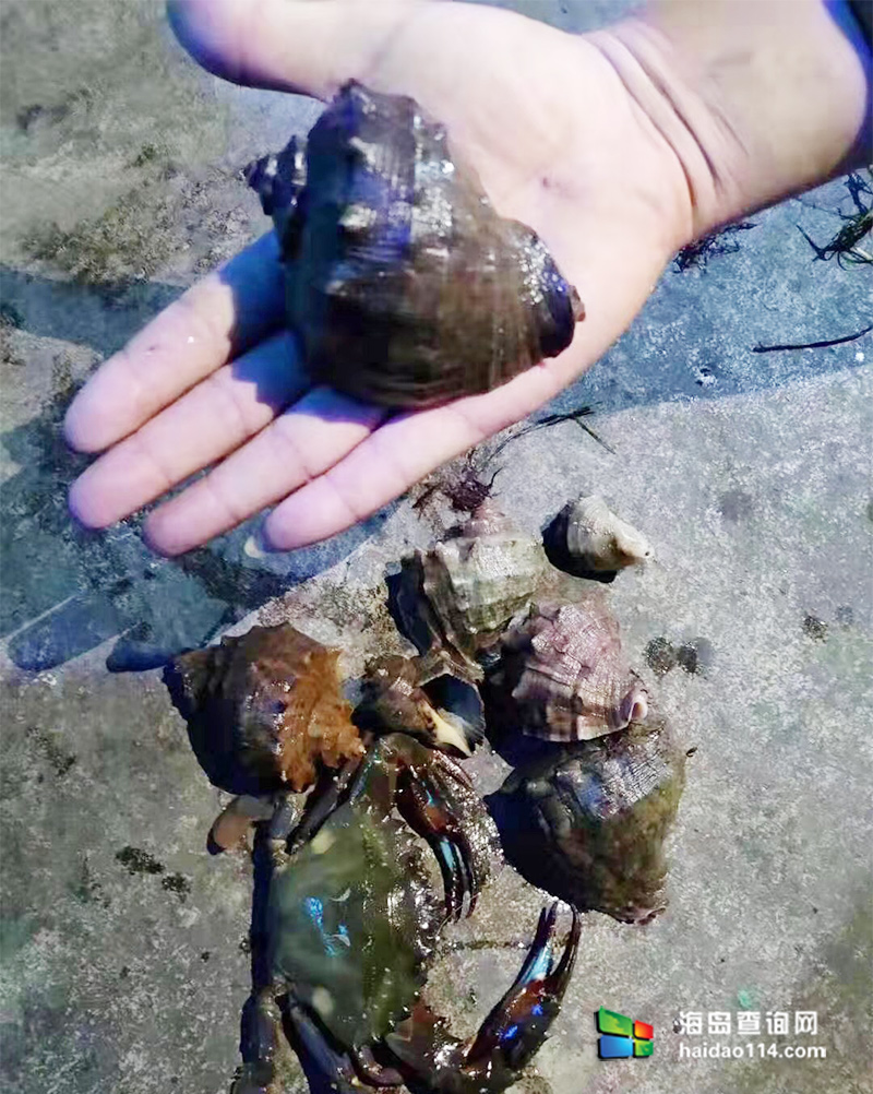 海王九岛星海度假村
