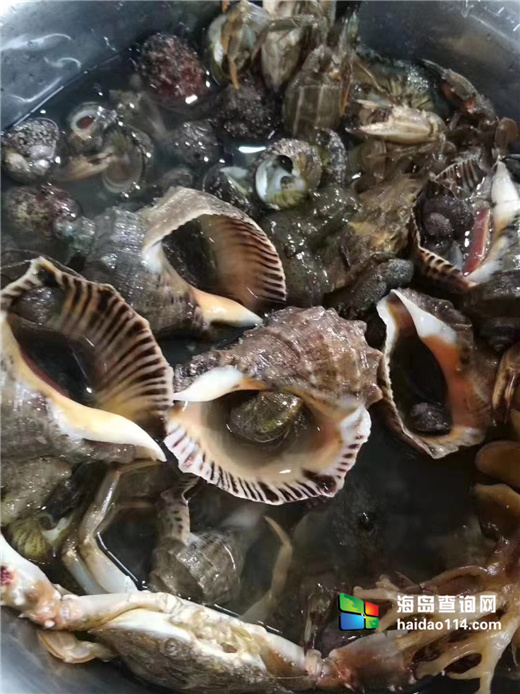 海王九岛星海度假村