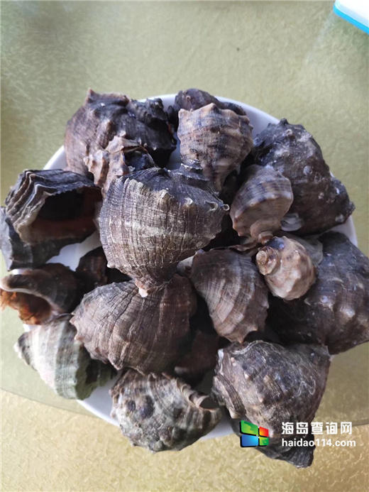 海王九岛星海度假村