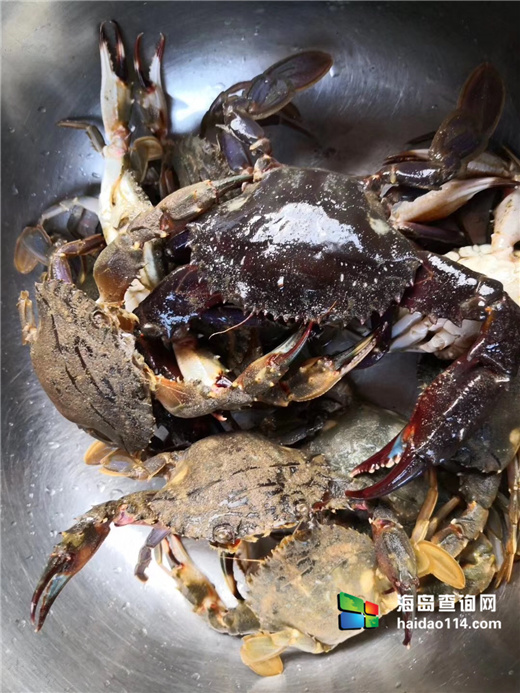 海王九岛星海度假村