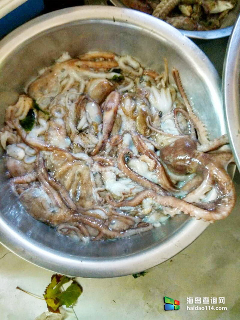 海王九岛星海度假村