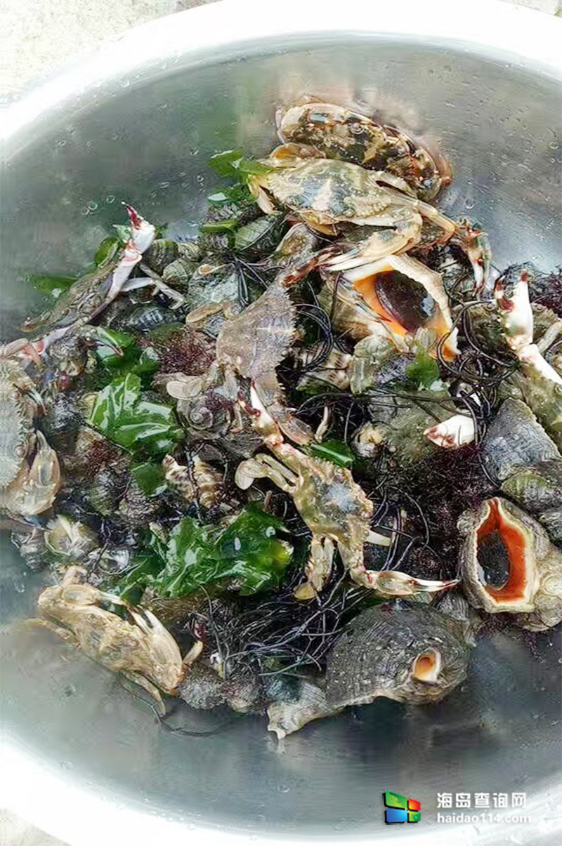 海王九岛星海度假村