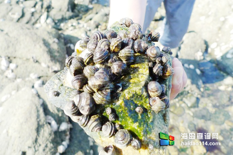 海王九岛星海度假村