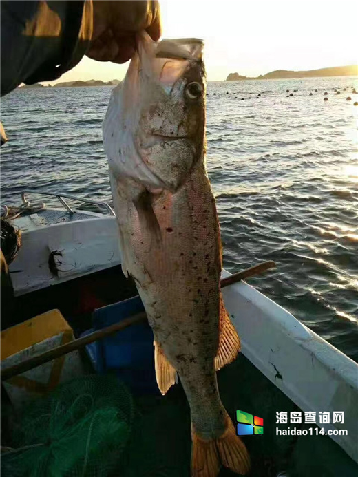 海王九岛星海度假村